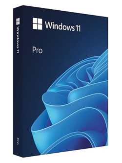 Windows 11 Pro 23H2 Build 19045.4046 (Non-TPM) (x64) Multilingual PreActivated torrent